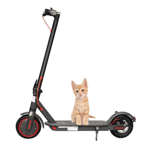 Aovopro 365go electric scooter - 365go,
