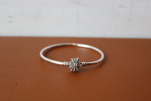 Pandora limited edition - pandora,