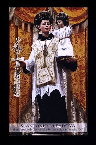 Santino holy card antonio - santino-holy, card"s.antonio