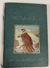 Caccia fauna alpina - caccia,