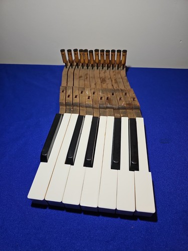 Tasti pianoforte ricambi - tasti,
