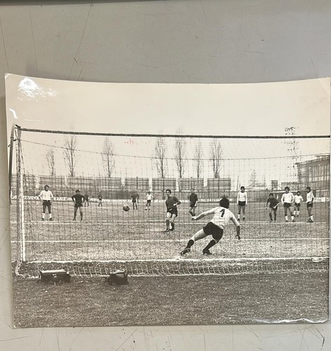 Pro sesto foto originale - pro,
