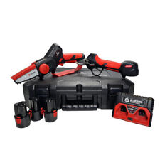 Blue bird PS 23-25 F e CS 22-04 3 kit da potatura completo di seghetto e forbici
