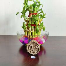 Stampa In Legno Fatta A Mano