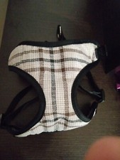 pettorina cane Regolabile