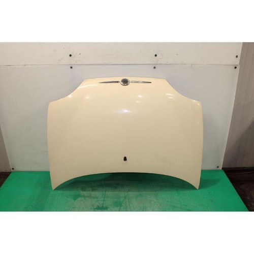 Cofano ant fiat seicento - ant.,