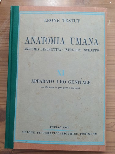 Anatomia umana leone testut - anatomia,