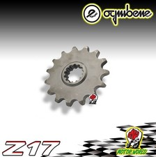 PIGNONE IN ACCIAIO OGNIBENE 17