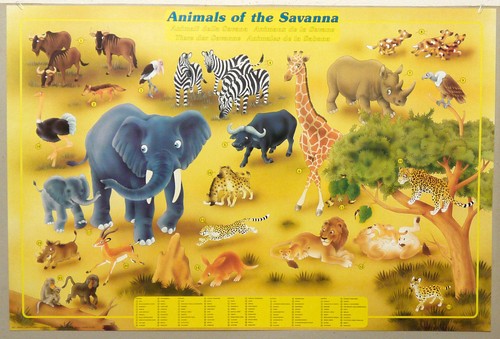 1991 animali savana - (prl),