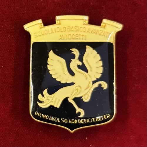2287 distintivo scuola volo - 2287,