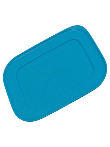 Tupperware stampo per ghiaccio - tupperware,