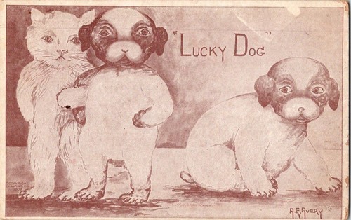 1908 cane fortunato - a., f