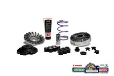 Variatore Trasmissione MALOSSI MHR Team 2 PIAGGIO LIBERTY 50 2T     