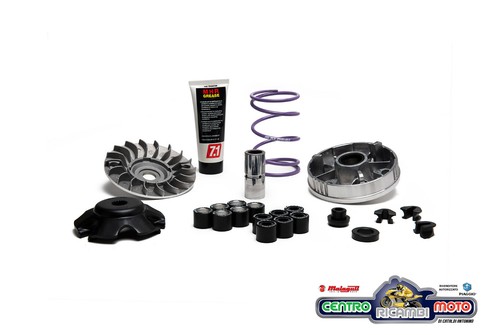 Variatore trasmissione malossi - variatore,