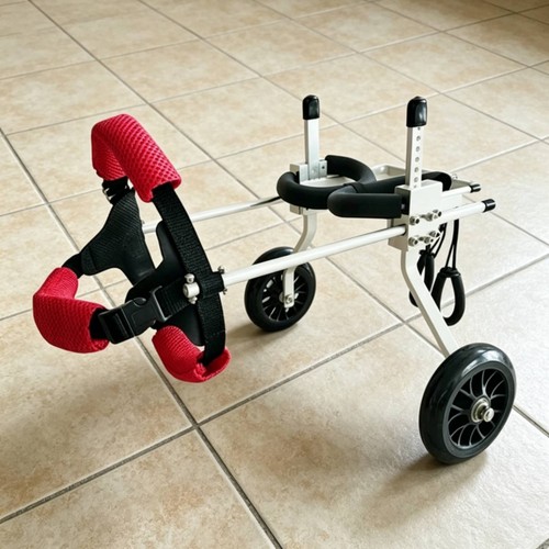 Sedia rotelle per - sedia,
