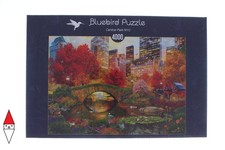 PUZZLE BLUEBIRD CITTA CENTRAL