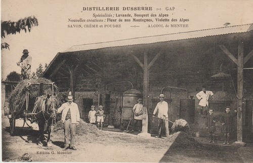 Gap distillerie dusserre - :,