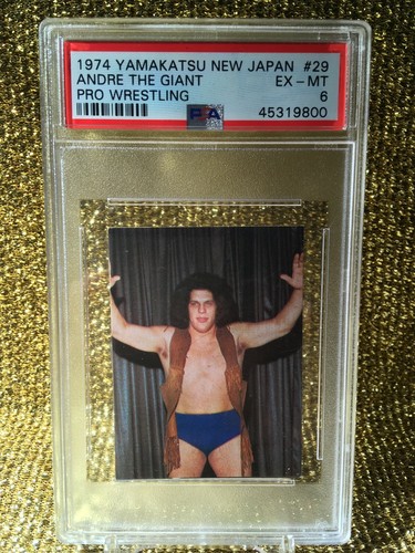 Andre the giant 1974 - the,