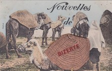 * TUNISIA - Bizerte - Cammelli, fisarmonica con 10 vedute