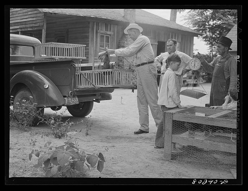 Selma alabama 1941 mcarthur - alabama,