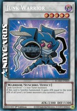 JUNK WARRIOR • (Guerriero