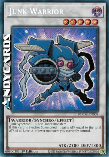 Junk warrior wreck - warrior, (wreck