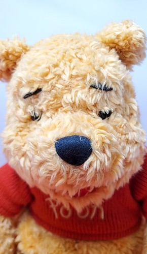 Disney store winnie the pooh - disney,