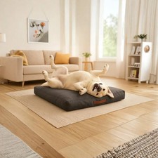 Cuscino per Cani Terranova