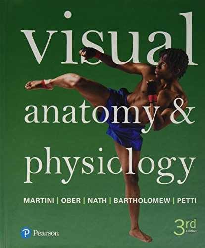 Visual anatomy physiology - anatomy,
