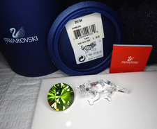 Raro camaleonte cambio colore