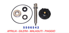 5506542 Water pump overhaul