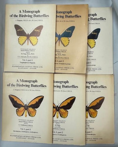 Haugum low birdwing - haugum,