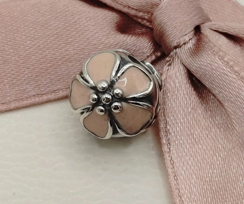 Charm pandora pensionato - charm,