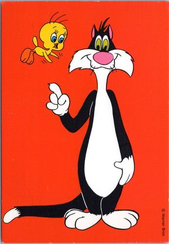 Sylvester gatto tweety - sylvester, il
