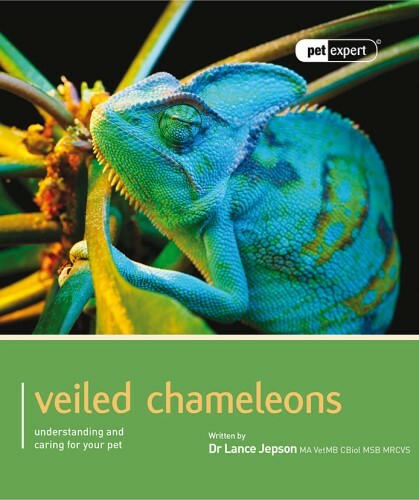 Libro camaleonti velati - libro, velati"