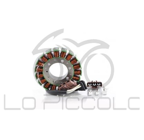 Statore magnete campo - magnete,