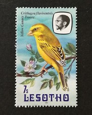 Lesotho 1981 (Africa)