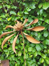 Ruota eolica in acciaio inox