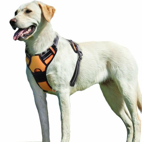Eagloo pettorina cane taglia - eagloo,