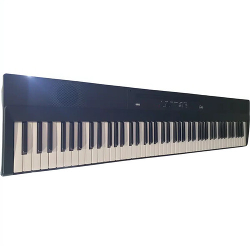 Korg liano teclado digital - korg, l1