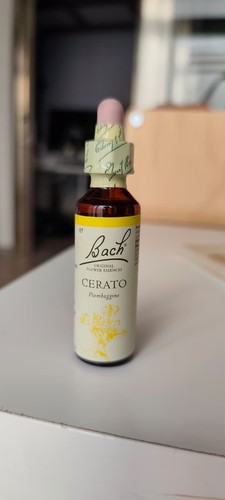 Fiori bach originali cerato - fiori, di