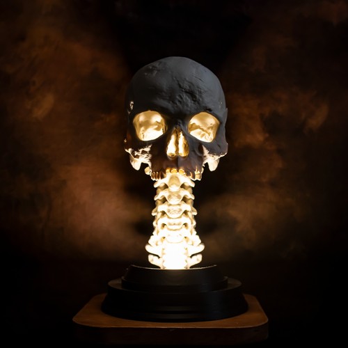 Life size skull - life, lamp