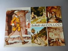 20164) PISTOIA COLLODI