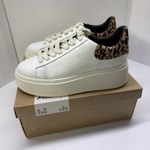 Ash maya platform - -,