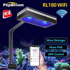 PopBloom RL180 acqua di mare