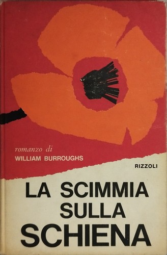 Scimmia sulla schiena - sulla,