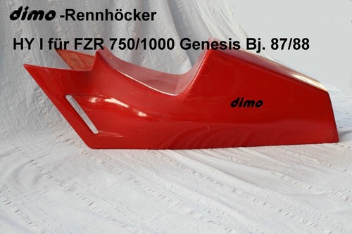 Gobba corsa yamaha fzr - gobba,