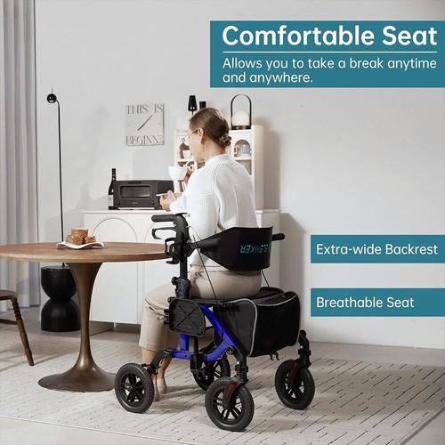 Sedia rotelle deluxe - a, 10"