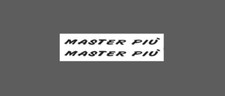 Master PIÙ Colnago tubo