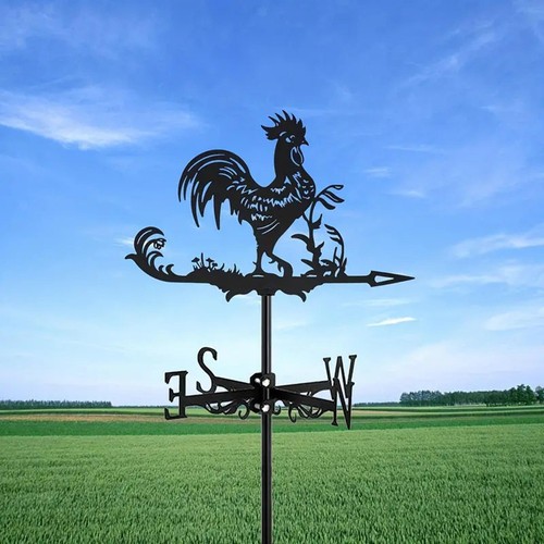 Banderuola forma gallo - forma,